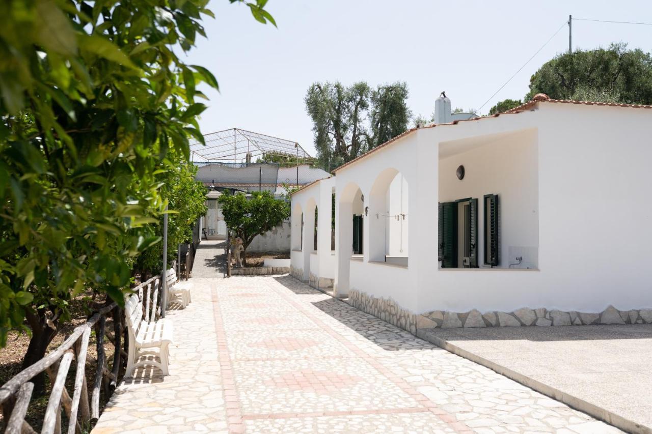 Pentaresidence Peschici Exterior foto